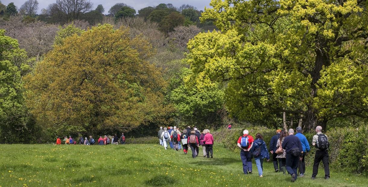 Chesterfield area walking festival