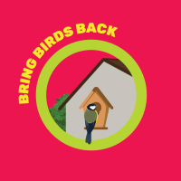 Bring Birds Back Challenge