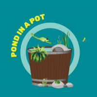 Pond in a Pot Challenge