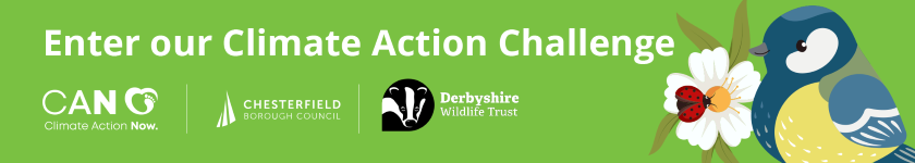 Climate Action Challenge 2025