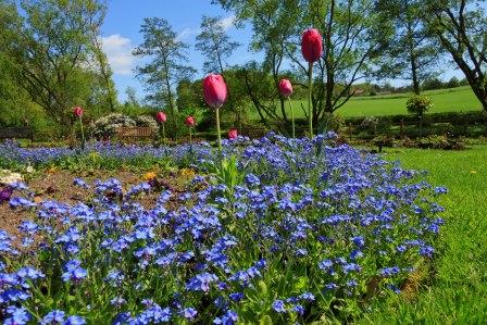 Crematorium Garden