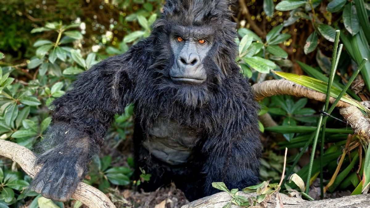 Chesterfield On Safari will feature a variety of animals