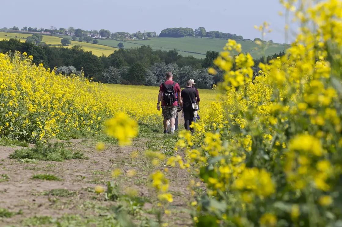Chesterfield Area Walking Festival