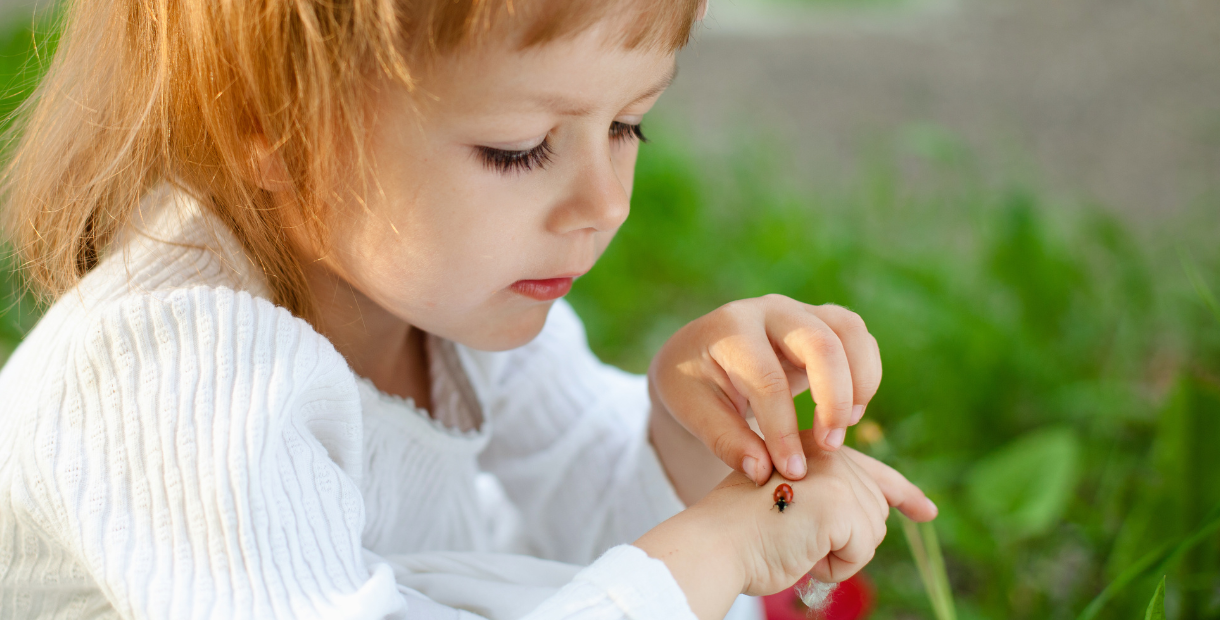 Alt text: Close-up of a young child wearing a white top gently holding a red ladybird on the back of one hand while using the other hand to carefully touch it. The scene is outdoors with soft green foliage blurred in the background.