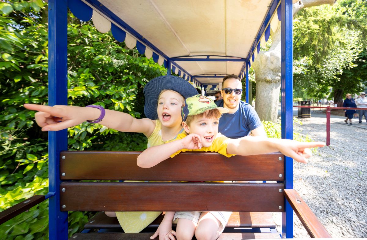 Explore Chesterfield and create lasting memories this summer