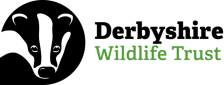 Derbyshire Wildlife Trust logo
