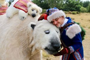 Inka the Polar Bear